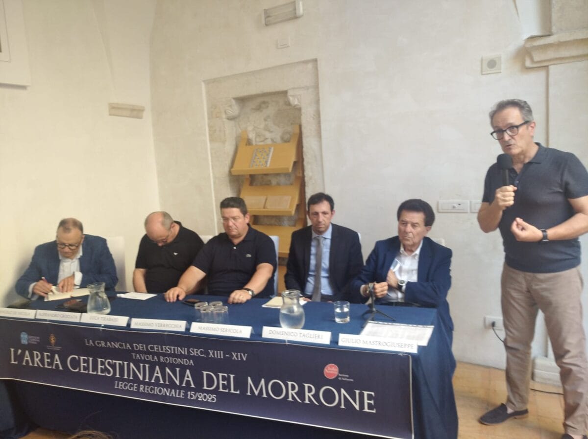 Area celestiniana. Ora i progetti.