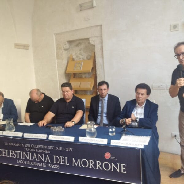 Area celestiniana. Ora i progetti.